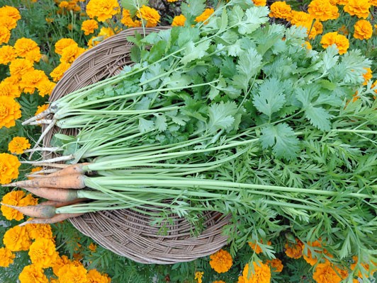 이미지 상세보기 이미지 상세보기