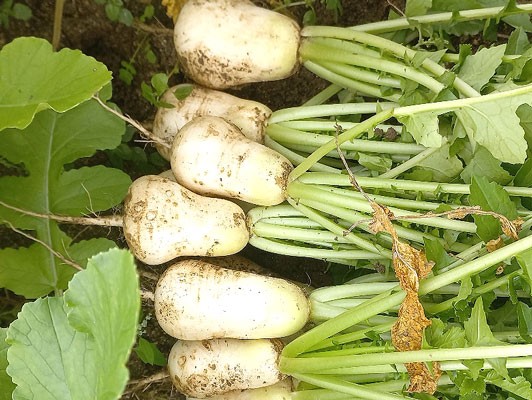 이미지 상세보기