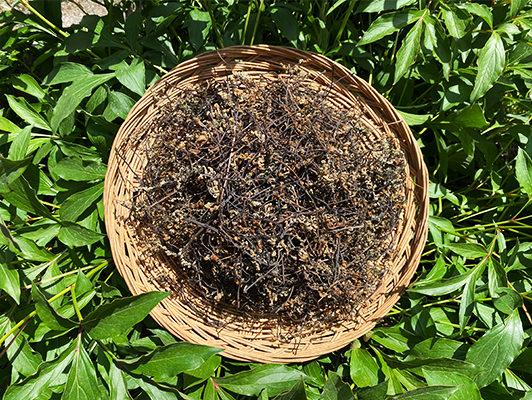 이미지 상세보기 이미지 상세보기