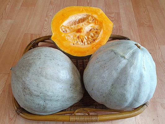 이미지 상세보기