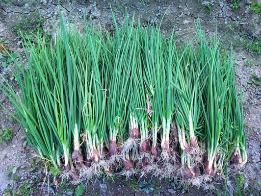 이미지 상세보기