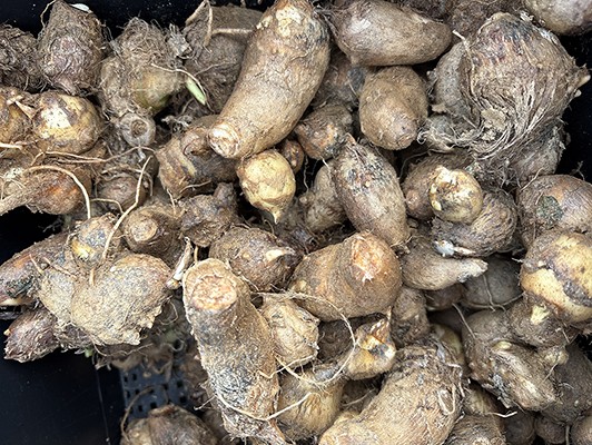 이미지 상세보기