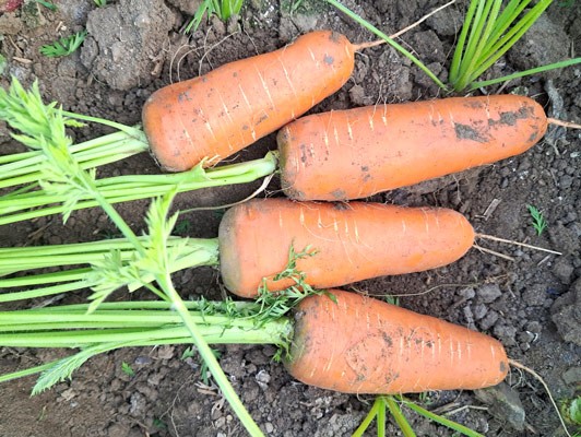 이미지 상세보기
