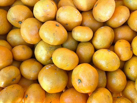 이미지 상세보기