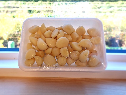 이미지 상세보기