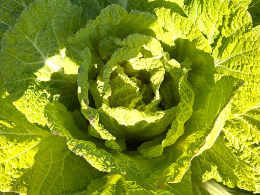 이미지 상세보기