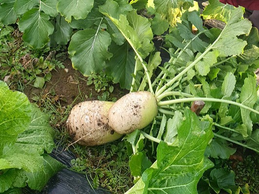 이미지 상세보기