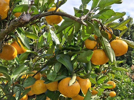 이미지 상세보기