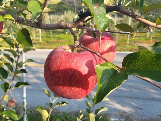 이미지 상세보기