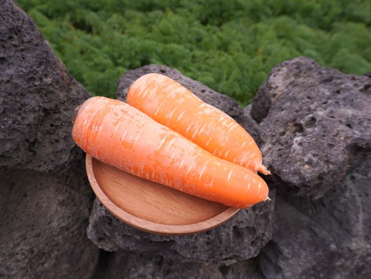 이미지 상세보기