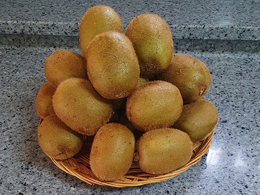 이미지 상세보기