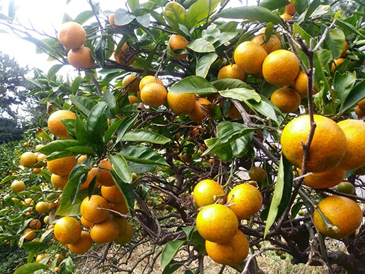 이미지 상세보기