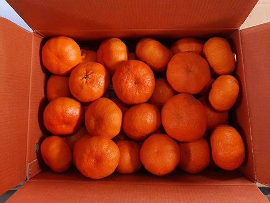 이미지 상세보기