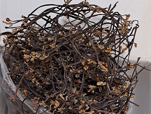 이미지 상세보기