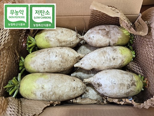 이미지 상세보기