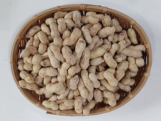 이미지 상세보기