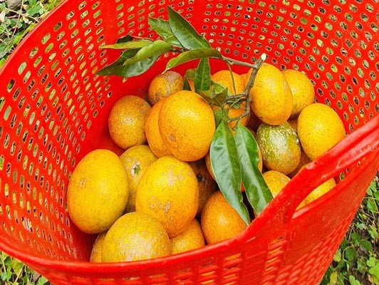 이미지 상세보기