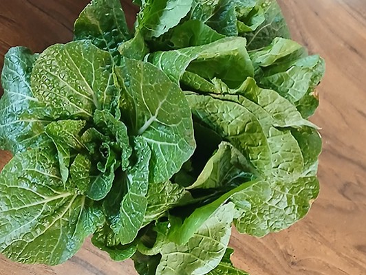 이미지 상세보기