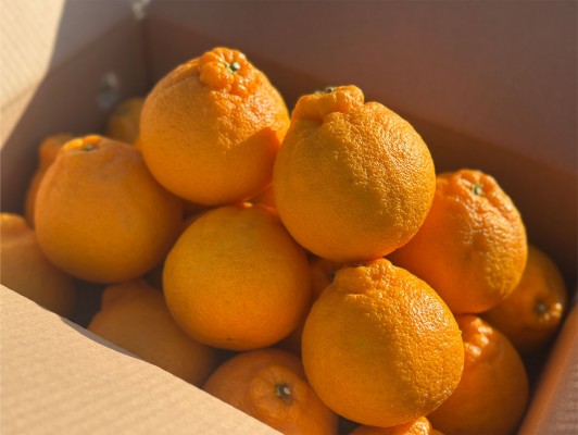 이미지 상세보기