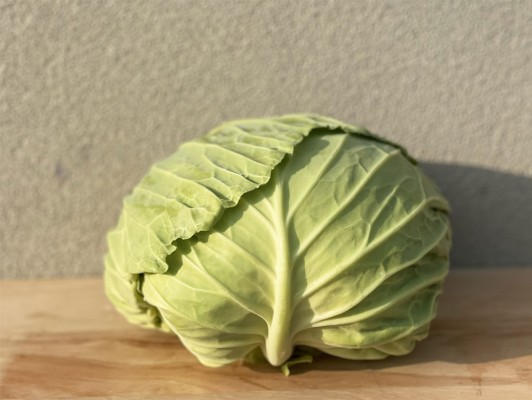 이미지 상세보기