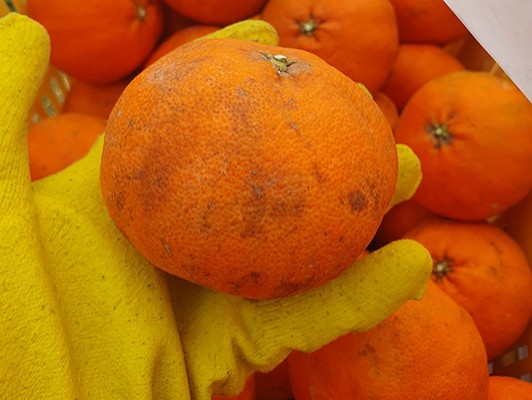 이미지 상세보기