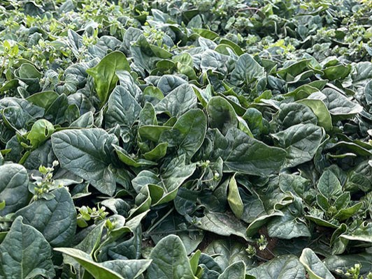 이미지 상세보기