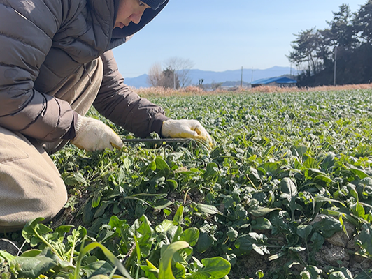 이미지 상세보기