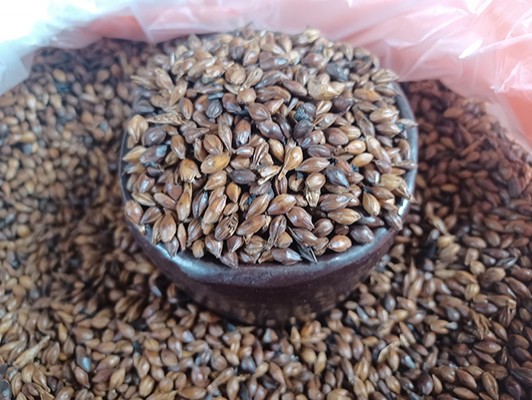 이미지 상세보기