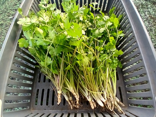 이미지 상세보기