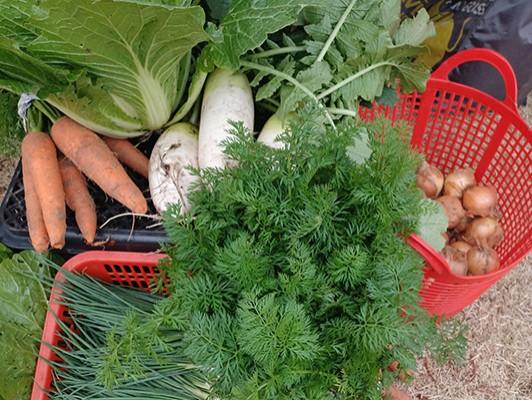 이미지 상세보기