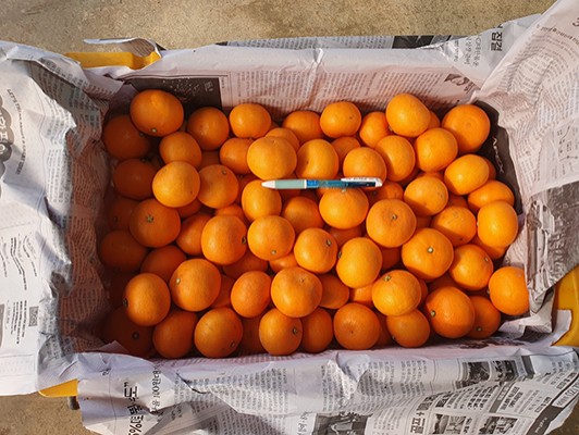 이미지 상세보기