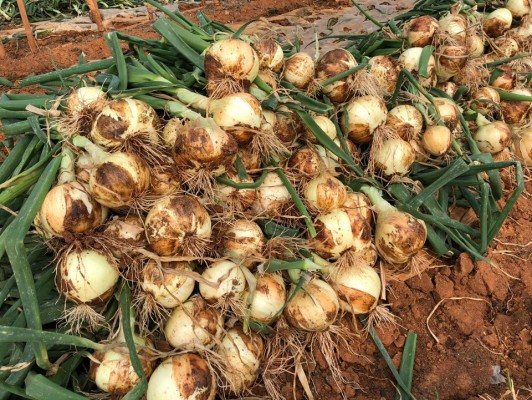 이미지 상세보기