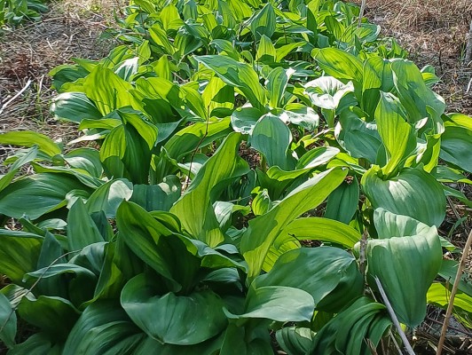이미지 상세보기