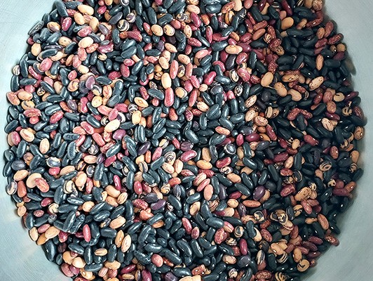 이미지 상세보기