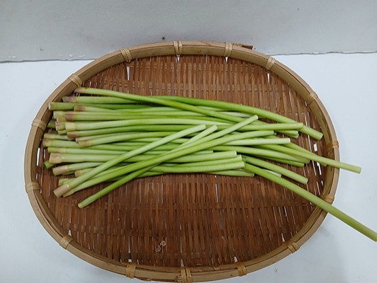 이미지 상세보기