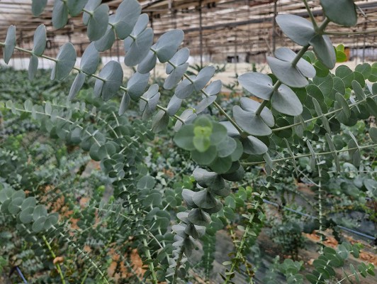 이미지 상세보기