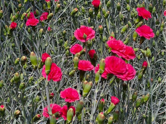 이미지 상세보기