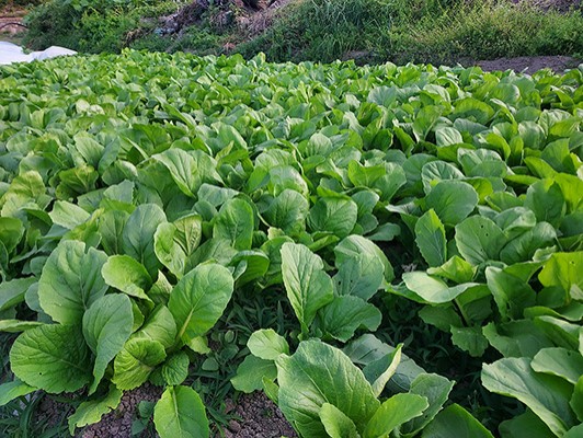 이미지 상세보기