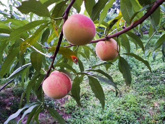 이미지 상세보기