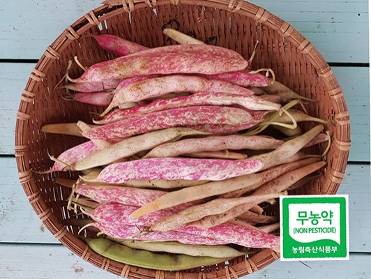이미지 상세보기