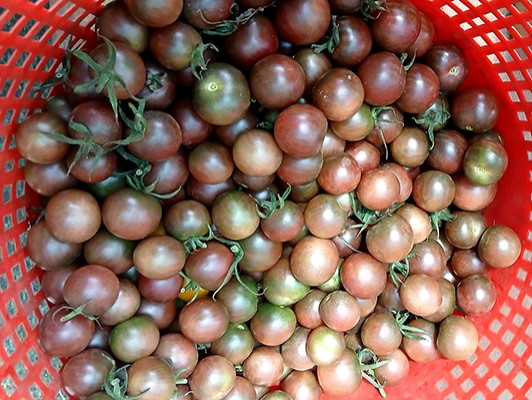이미지 상세보기