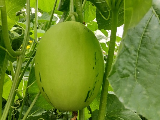 이미지 상세보기